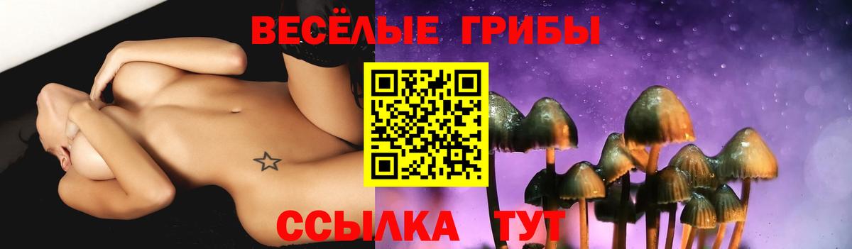 ГАШ Долгопрудный